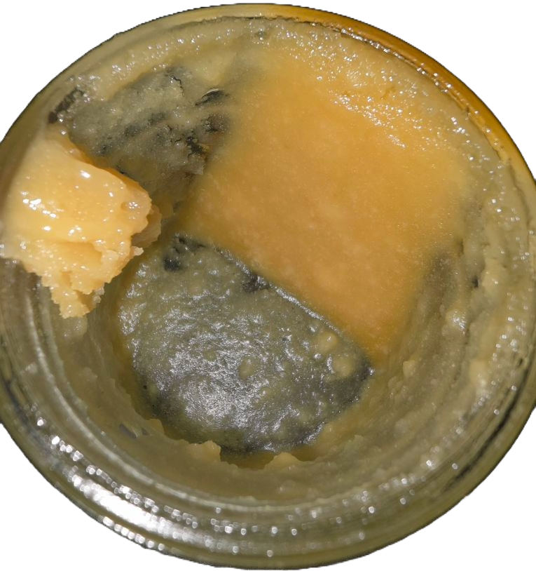 Lemon Hash Plant Live Resin